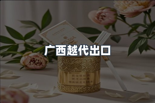 广西越代出口